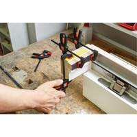 Micro Trigger Clamps Set, 4-1/2" (114.3 mm) Seaboard Timber Mart