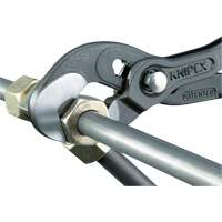Raptor Pliers, 10" Seaboard Timber Mart
