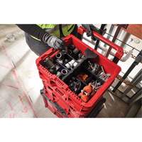 PACKOUT Low-Profile Crate, 15" x 18-5/8" x 6-5/8", Black/Red Seaboard Timber Mart