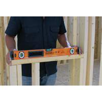 Niveau avec embouts de protection, Boîte, 2' lo, Aluminium, 3, Magn&eacute;tique Seaboard Timber Mart