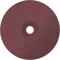 Coolcut Sanding Disc, Aluminum Oxide, 24, 7" Dia x 7/8" Arbor Seaboard Timber Mart