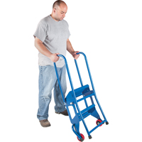 Portable Folding Ladder, 2 Steps, Perforated, 20" High Seaboard Timber Mart