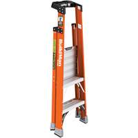 Safespace Platform Step Ladder, 2', 300 lbs. Cap. Seaboard Timber Mart