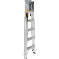 Step Ladder with Paint Tray, 6', Aluminum, 225 lbs. Capacity, Type 2 Seaboard Timber Mart