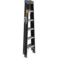 Step Ladder with Paint Tray, 6', Fibreglass, 250 lbs. Capacity, Type 1 Seaboard Timber Mart
