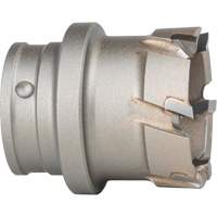 Quick Change Steel Plate Cutter Seaboard Timber Mart