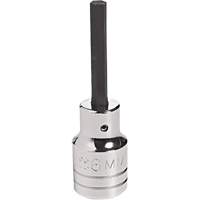 Embout &agrave; ins&eacute;rer, Hexagonale, 18 mm x 4" lo, Prise 1/2" Seaboard Timber Mart