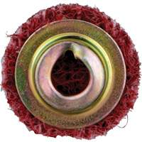 Disque de conditionnement de surface &agrave; remplacement rapide Standard Abrasives, 3/4" dia., Grain Moyen, Oxyde d'aluminium Seaboard Timber Mart