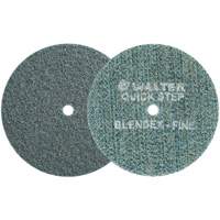QUICK-STEP BLENDEX Surface Conditioning Disc, 5" Dia., Fine Grit, Aluminum Oxide Seaboard Timber Mart