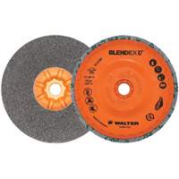 Blendex U Finishing Cup Disc, 5" Dia., Fine Grit, Silicon Carbide Seaboard Timber Mart
