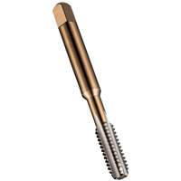 Plug Tap, High Speed Steel, 1/4"-20 Thread Seaboard Timber Mart
