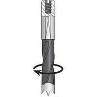 Dowel Drill, Carbide Seaboard Timber Mart