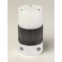 Grounding Straight Blade Connector, 5-15R, Nylon Seaboard Timber Mart