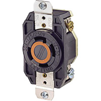 Single Flush 3-Pole 4-Wire Grounding Receptacle Seaboard Timber Mart