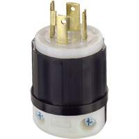 3-Pole 4-Wire Grounding Locking Plug, Nylon, 30 Amps, 125 V/250 V, L14-30P Seaboard Timber Mart