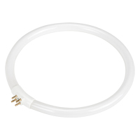 Ampoule fluorescente de rechange pour lampes-loupes Rhinomag, 22 W Seaboard Timber Mart