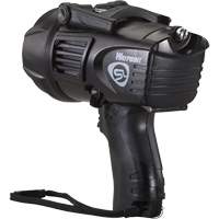 Waypoint&reg; Pistol Grip Spotlight, LED, 550 Lumens, C Batteries Seaboard Timber Mart