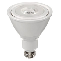 Ampoule DEL, PAR30, 10 W, 800 lumens, base Moyen Seaboard Timber Mart