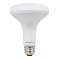 Ampoule DEL s&eacute;rie Contractor, BR30, 9 W, 650 lumens, base Moyen Seaboard Timber Mart