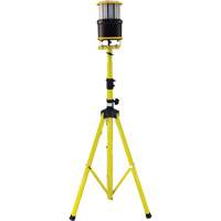 Beacon360 GO Portable Work Light with Tripod, LED, 45 W, 6000 Lumens, Aluminum Housing Seaboard Timber Mart