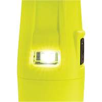 Lampe de poche VLO, DEL, 280 lumens, Piles AA Seaboard Timber Mart