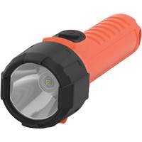 Lampe de poche portative Intrinsically Safe, DEL, 150 lumens, Piles AA Seaboard Timber Mart