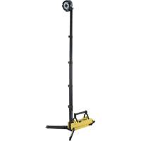 Lampe de sc&egrave;ne d&eacute;ployable portative, DEL, 5300 lumens, Boîtier en Plastique Seaboard Timber Mart
