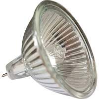 Replacement MR16 Bulb Seaboard Timber Mart