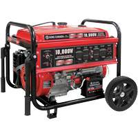 Gasoline Generator with Electric Start, 10000 W Surge, 7500 W Rated, 120 V/240 V, 25 L Tank Seaboard Timber Mart