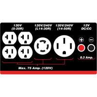 Gasoline/Propane Generator with Electric Start Seaboard Timber Mart