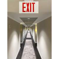 Exit Sign, LED, Battery Operated/Hardwired, 12-1/5" L x 7-1/2" W, English Seaboard Timber Mart