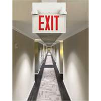 Exit Sign with Security Lights, LED, Battery Operated/Hardwired, 12-1/10" L x 11" W, English Seaboard Timber Mart