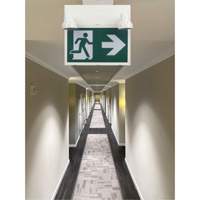 Running Man Sign with Security Lights, LED, Battery Operated/Hardwired, 12-1/10" L x 11" W, Pictogram Seaboard Timber Mart