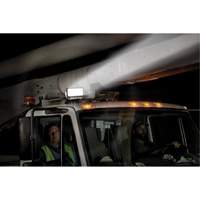 Ensemble d'&eacute;clairage orientable polyvalent &agrave; t&eacute;l&eacute;commande, DEL, 4250 lumens Seaboard Timber Mart