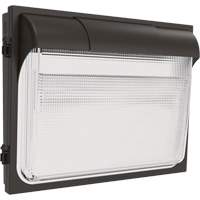 TWX3 Wall Luminaire, LED, 347 V, 14" H x 18" W x 5" D Seaboard Timber Mart