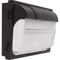 TWX Wall Luminaire, LED, 480 V, 9 W - 54 W, 14" H x 18" W x 5" D Seaboard Timber Mart