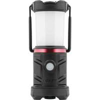 EAL13 Emergency Area Lantern Seaboard Timber Mart