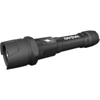 Lampe de poche pratiquement indestructible, DEL, 350 lumens, Piles AA Seaboard Timber Mart