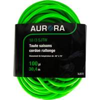 Cordon rallonge de calibre industriel, Toutes saisons, SJTW, AWG 10/3, 15 A, 100' Seaboard Timber Mart