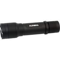 IP67 Flashlight, LED, 2000 Lumens, Rechargeable Batteries Seaboard Timber Mart