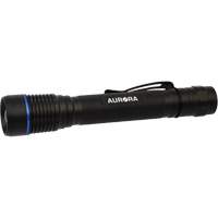 IPX7 Flashlight, LED, 250 Lumens, AA Batteries Seaboard Timber Mart
