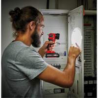 Lampe de poche &agrave; DEL sans fil 18V (outil seulement), DEL, 280 lumens, Bloc-pile Rechargeable Seaboard Timber Mart