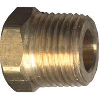 Hex Head Cored Plug, Pipe, 1/8" Dia., Brass Seaboard Timber Mart