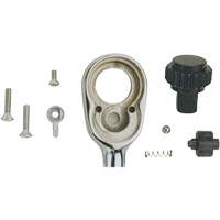Ratchet Repair Kit Seaboard Timber Mart